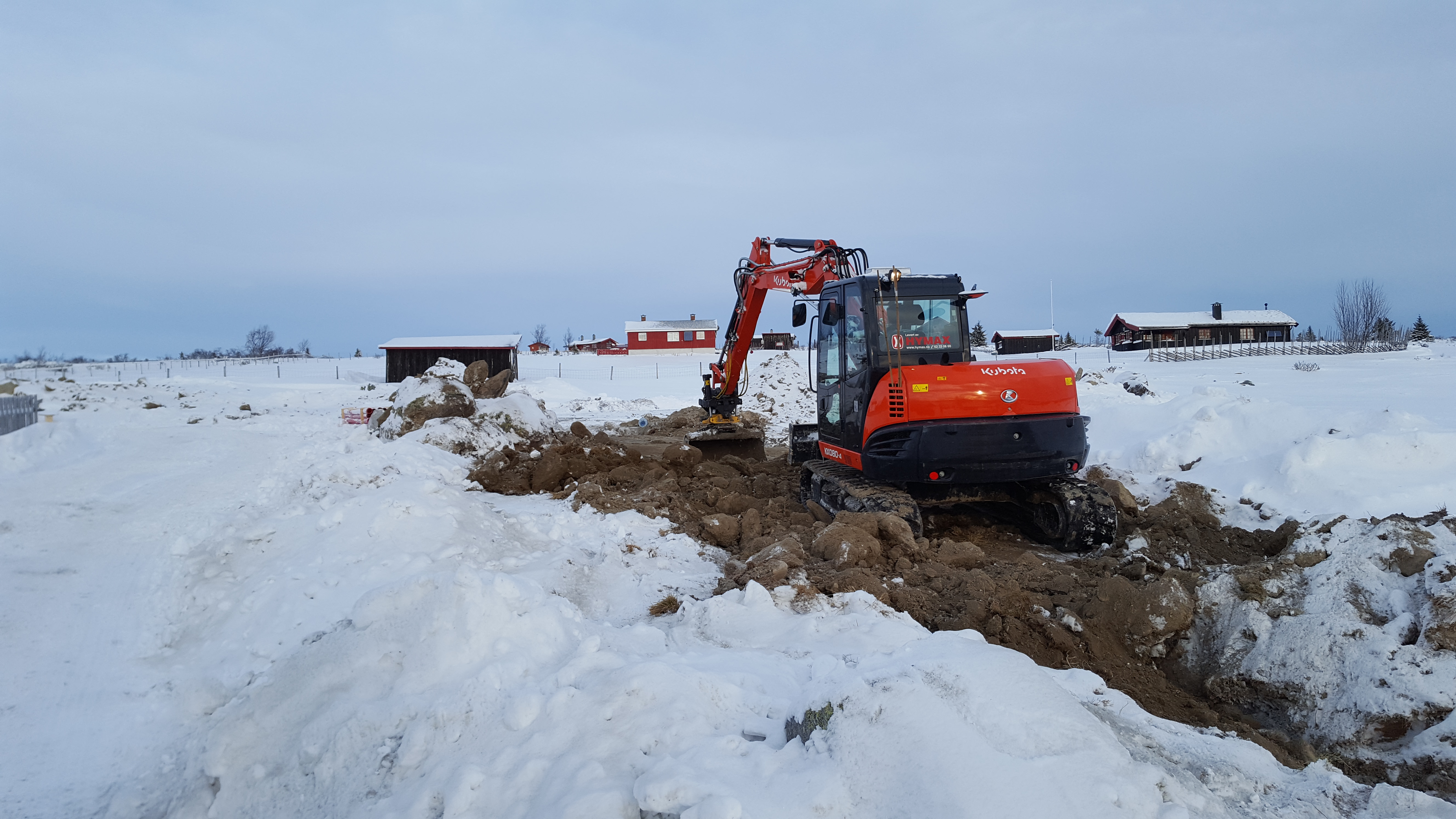 Lie 12.01.2017 (2).jpg