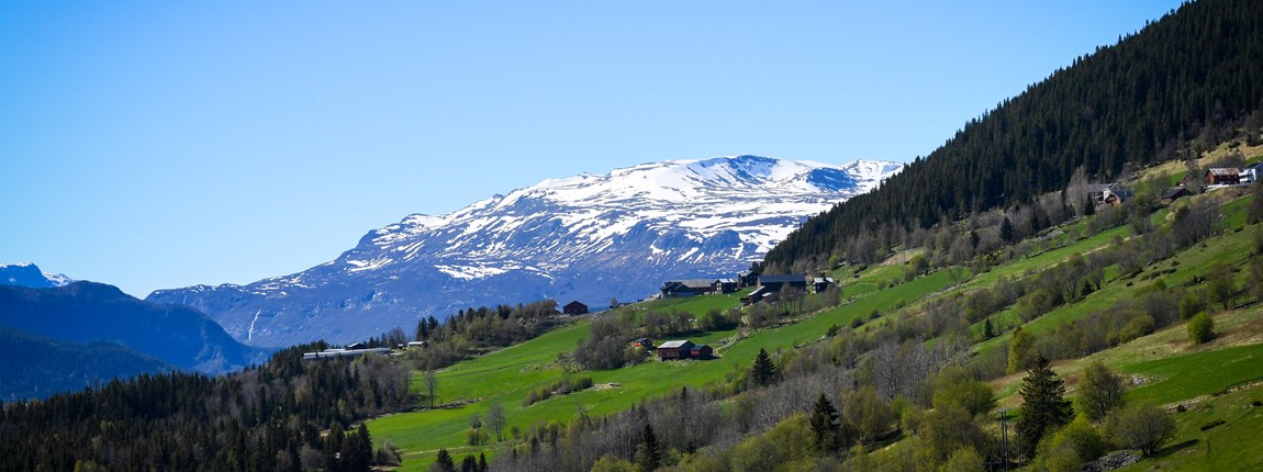 Utsikt fra helikopter retning Vang