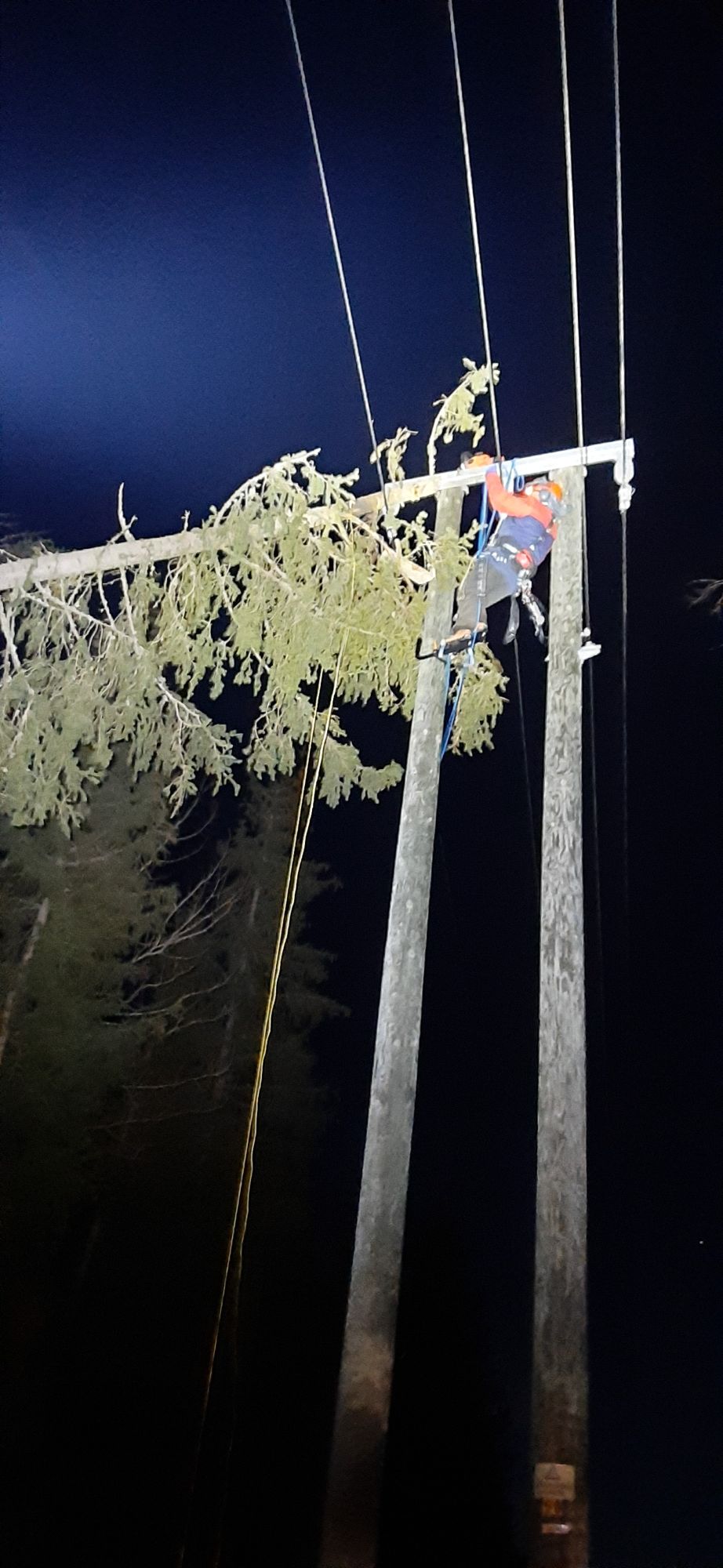 Resized 20211119 215211(1)