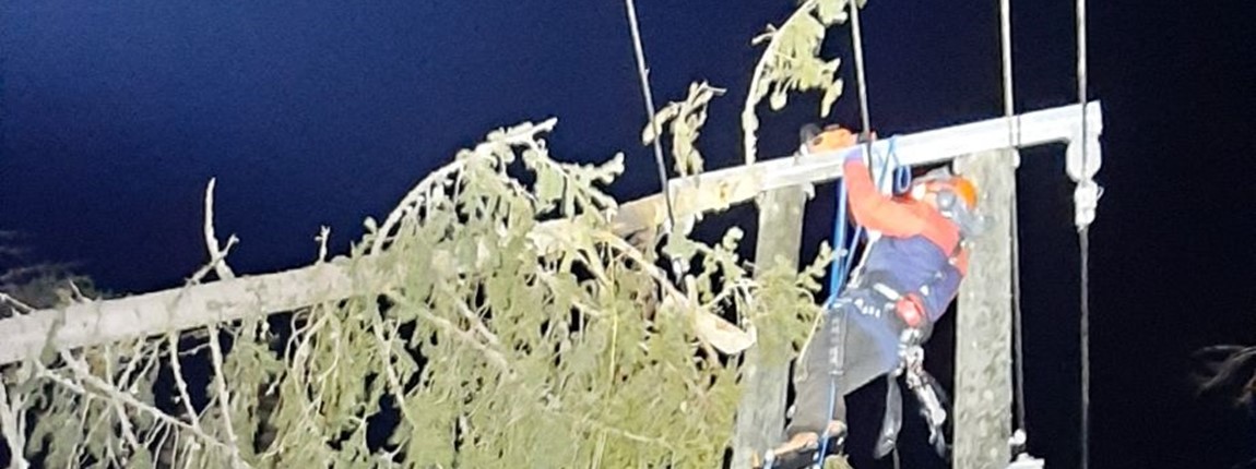 Resized 20211119 215211(1)