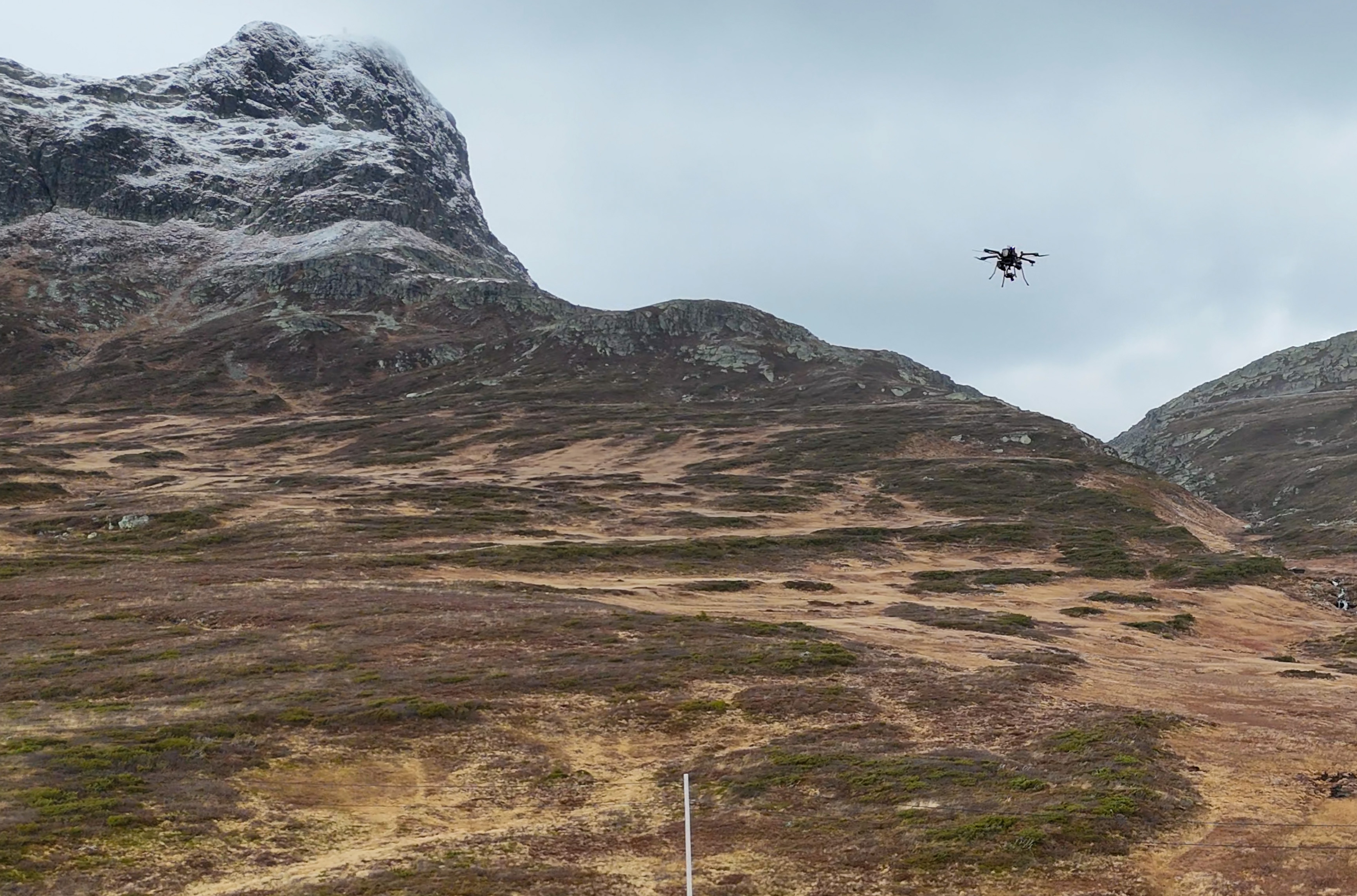 Bitihorn 20251028 Acecore Noa Hybrid Crop 1